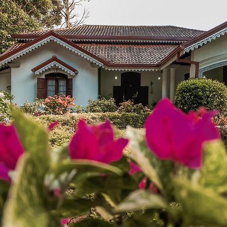 קיטולגאלה Kithulvilla Holiday Bungalow מראה חיצוני תמונה