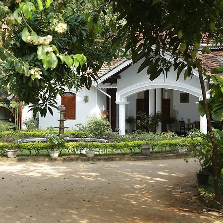 קיטולגאלה Kithulvilla Holiday Bungalow מראה חיצוני תמונה