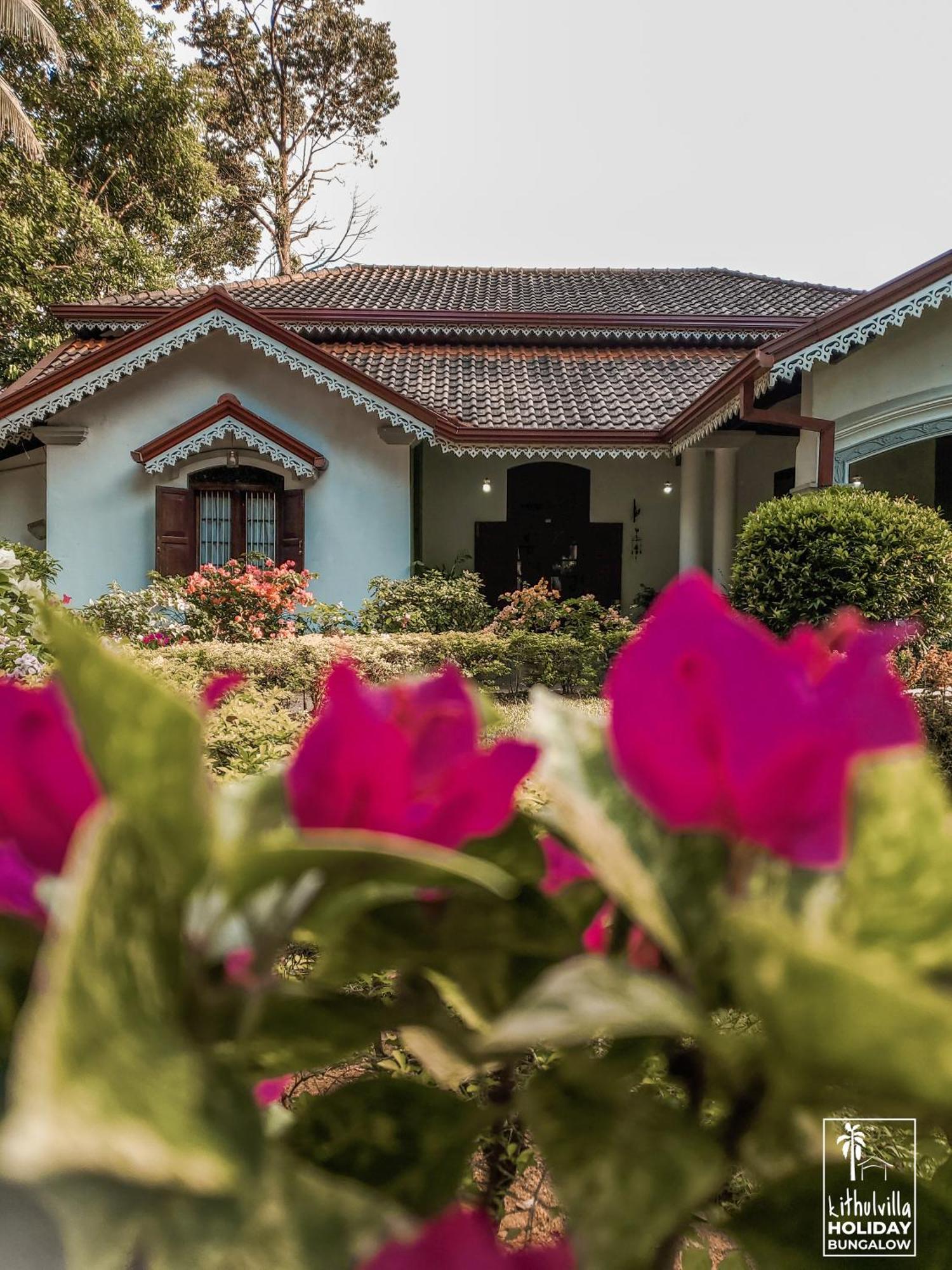 קיטולגאלה Kithulvilla Holiday Bungalow מראה חיצוני תמונה