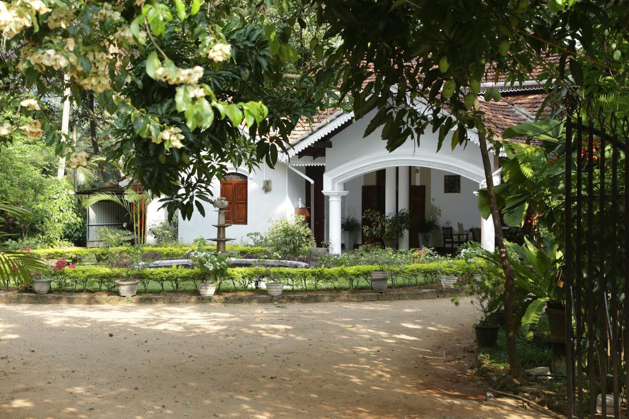 קיטולגאלה Kithulvilla Holiday Bungalow מראה חיצוני תמונה